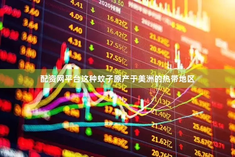 配资网平台这种蚊子原产于美洲的热带地区