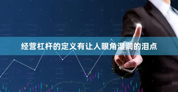 经营杠杆的定义有让人眼角湿润的泪点