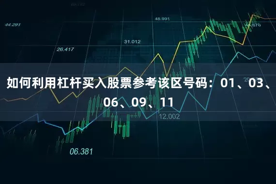 如何利用杠杆买入股票参考该区号码：01、03、06、09、11